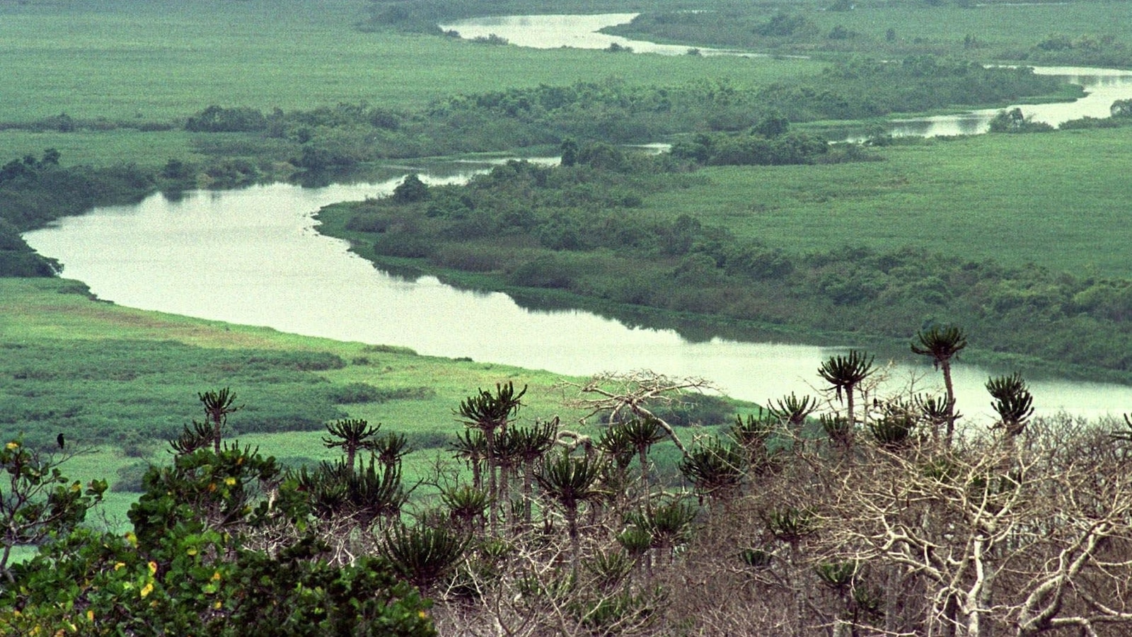 UNESCO designates 26 new biosphere reserves amid biodiversity challenges and climate change